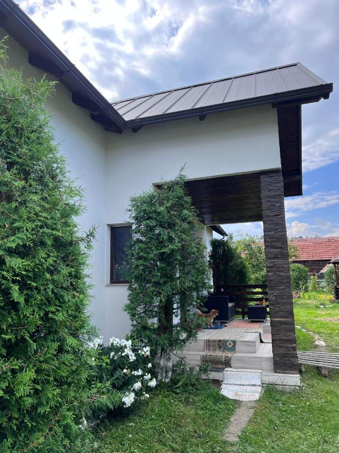 Гостевой дом Casa Helen Insurance&Tourism Galautas Экстерьер фото