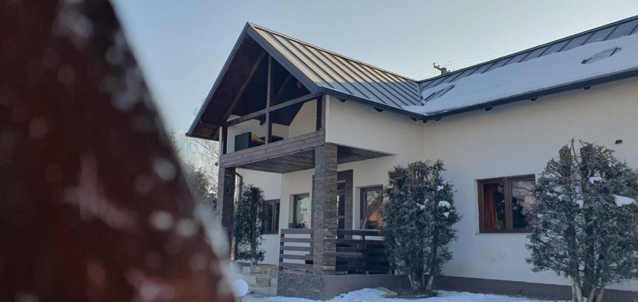 Гостевой дом Casa Helen Insurance&Tourism Galautas Экстерьер фото